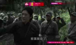 东方战场电视剧,烽火岁月里的民族抗争史诗